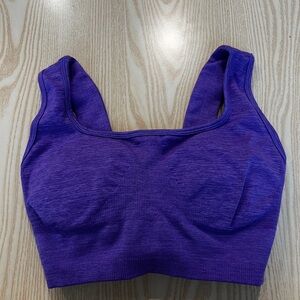 Buffbunny Synergy Seamless Sports Bra in Party Purple